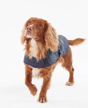 Quilted Dog Coat