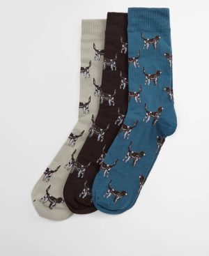 Pointer Dog Socks Gift Box